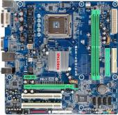 Biostar GF7100P-M7S