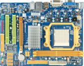 Biostar GF8200E (rev. 6.x)