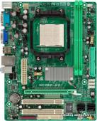Biostar MCP6P-M2